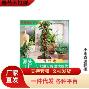 ���Ҙ�����س��� ����������� ����Y�� ���_˹8̖���Ҙ�