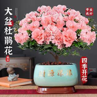 �ؼ�������N�������ذ껨��ֲ���҃��Ϙ��ļ��_������Gֲ���B��