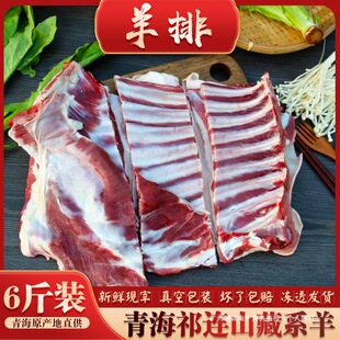 3���������r�F�ױ��C�����ຣ���Bɽɢ�B����򣨾��|�����]