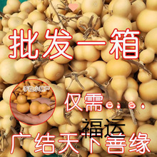 ���J�؃r����������С���J��Ʒ���lС���ְѼ���Ȼ���J�������