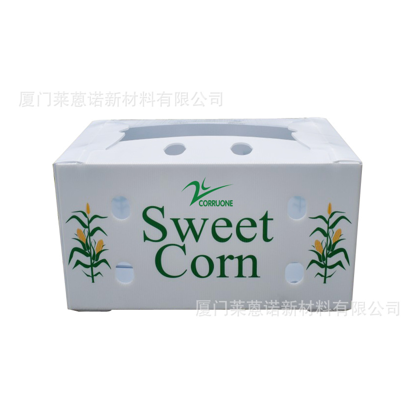 Caja de frutas y verduras de placa hueca pp personalizada plegable impermeable frutas y verduras frescas de transporte de cadena de frío Caja de plástico de calcio image 19