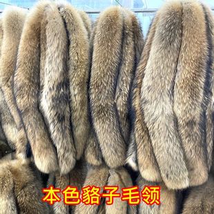 �ɿ˷������ë�Ië�lñ�l�������ñ���b�ů���b�o����ë