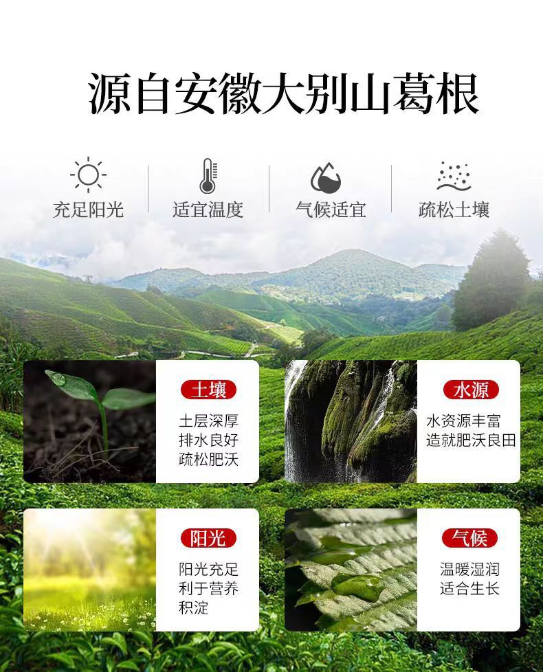 Kudzu Root Chai Ge Gen Dried Slices 100g Jar Traditional Chinese Herb for Decoction and Tea quality and texture