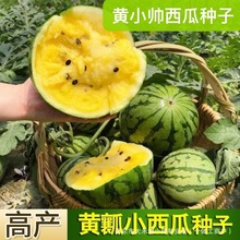 SСϷNSƤSϷNͥԺSˮN