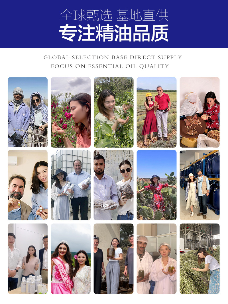 专注精油品质0