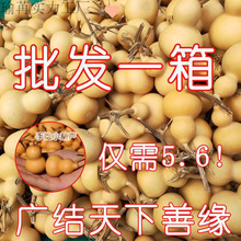 ���J�؃r����������С���J��Ʒ���lС���ְѼ���Ȼ���J�������