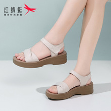 红蜻蜓夏季平底厚底沙滩鞋女士凉鞋女2025新款外穿真皮妈妈不累脚