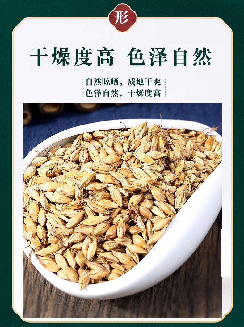 Fried Malt Germinated Barley Sprout Mai Ya 500g Dried Herb for Tea and Decoction specifications