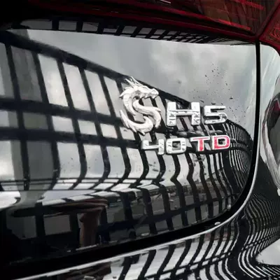 Car logo – for Hongqi Dragon Logo Car
