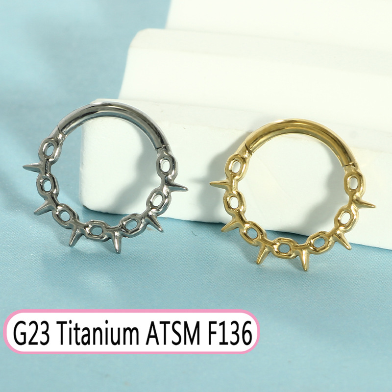 G23 Titanium Oval Zircon Septum Nose Ring Closed Ring Earring Cochlear Piercing Jewelry detail image 7