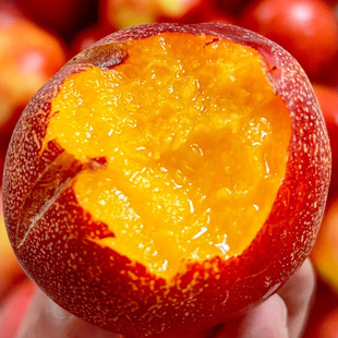 ��Ę���Ү������r���l�r�����S�������ЋD����ɽ������