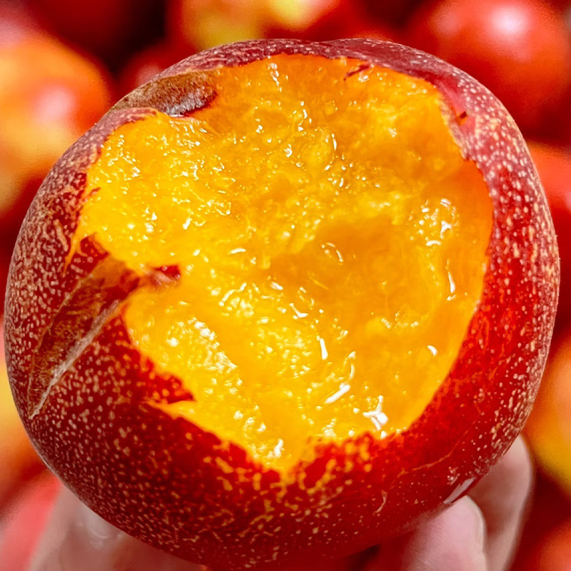 Seasonal Fresh Nectarines Wholesale Price Whole Box Yellow Nectarines Super Sweet Shanxi Peaches for Pregnant Women