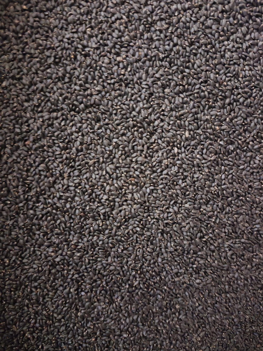 Lan Xiang Zi (Ocimum basilicum) — Basil Seeds for Herbal Drinks & Desserts overview