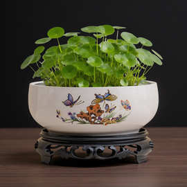 碗莲专用盆缸铜钱草睡莲一叶莲水仙花盆金钱草水培植物盆无孔陶瓷