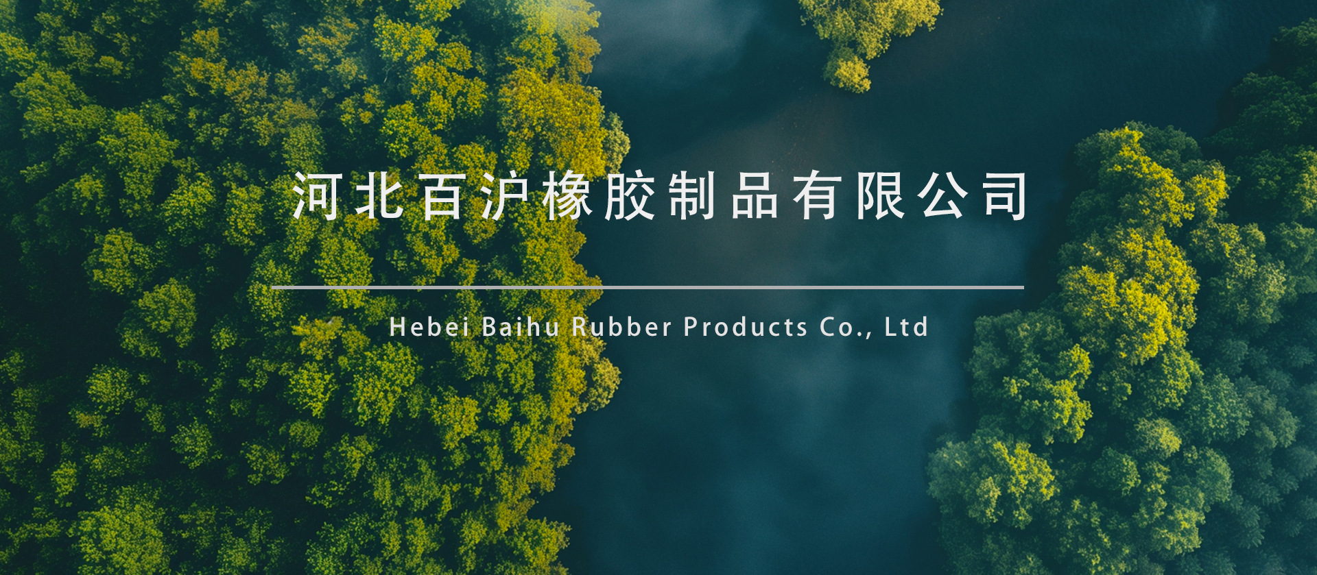 泡沫棒 公司封面.jpg