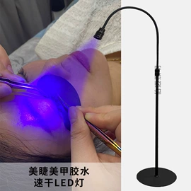 紫外线灯;阅读台灯;其他专用灯具