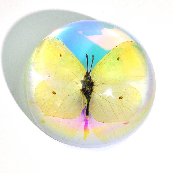 6.4cm semi-circle colorful yellow hook butterfly