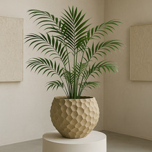 �����OӋ�Gֲ�����������߿�͏d����ֲ�����������p�ݸ߼���