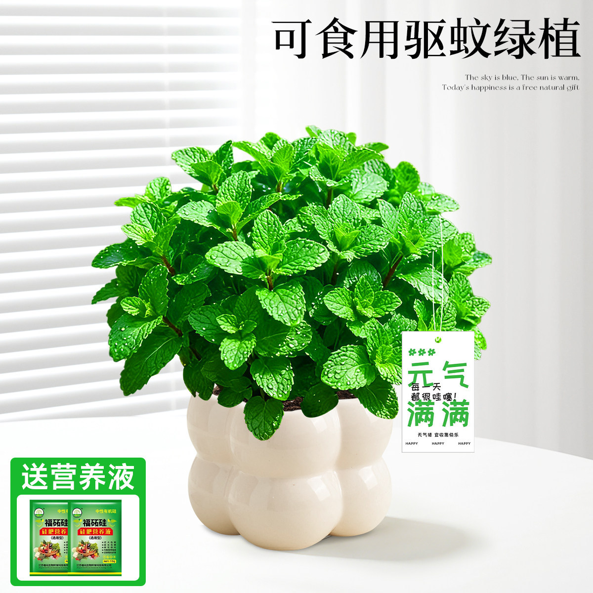 With simple planting pot