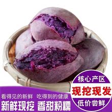 紫薯现挖现发新鲜沙地板栗小个紫地瓜红薯蜜薯番薯批发厂家速卖通