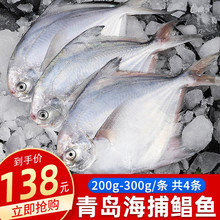 ����ӯ ���u�K�~1000g  �y�K�~ƽ�~���~���u���r���a�~����r 2��