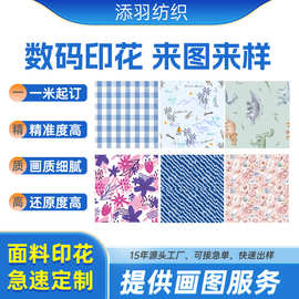 数码印花加工图片布料面料格裙做打样娃衣毕设帆布袋丝巾数码印花