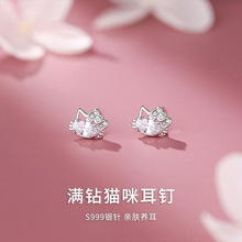 S999��������Сè����Ů�߼�����2026���¿����ʴ�������������Ʒ