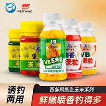 �����LVB�����D����~���h�w����D���~���~��������Сƿ��~�D��