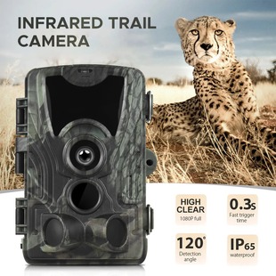Hc-801M 2g Hunting Wildlife Camera Outdoor Hd Waterproof Monitoring Infrared Motion Detection Foreign Trade Hunting