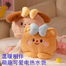 充电热水袋充电式双插拆卸暖水袋暖手宝暖宝宝电热宝冬季礼品代发