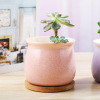 Flowerpot, fresh ceramics, candle indoor, cactus, wholesale