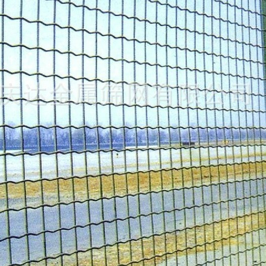 钢丝网 荷兰网 养殖围栏网 防护圈地围网 养鸡护栏网 围栏铁丝网