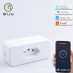 Cross-border Brazil WIFI intelligent timing electric energy metering socket dual voltage graffiti platform voice remote control