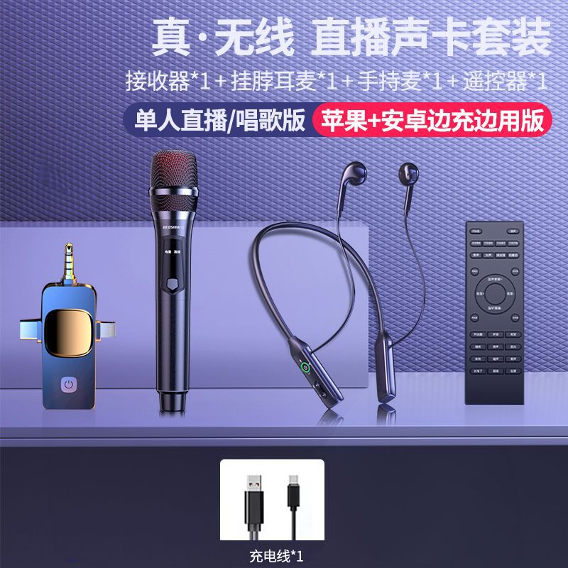 1대1 대형 마이크(대형 마이크 + 단일 헤드셋 + 리모콘 + 수신기)