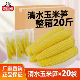 吉食道500g清水小玉米去皮新鲜嫩商用整箱批发200克固形物甜玉米