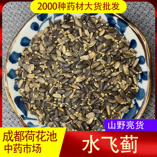 Milk Thistle Milk Thistle Seeds 500g Milk Thistle Seeds Milk Thistle Wild Primary Agricultural Products