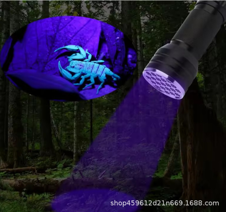 A large number of in stock LED ultraviolet violet flashlight UV money lamp pet mini violet lamp flashlight