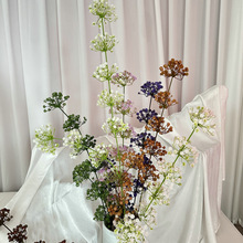 �����ߝM�������ϻ�С�ٻ�������Y��ˇ�������z�M����