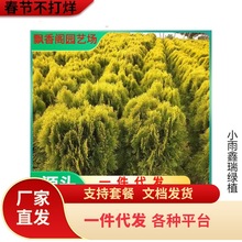 һlؘԵԞSСȰؘ繫Ĺ