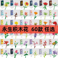 õ�����տ�ƴ�b��ͯ�������������Ї��eľ����������˹��Y������