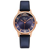 Fashionable watch, quartz watches, glossy belt, internet celebrity, wholesale