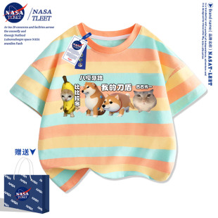 NASA���ҵĵ��ܸ�ֱ���ȱ������ɐۿ�ͨ������t�����b�¿
