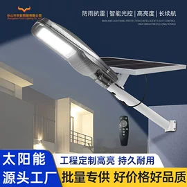太阳能灯;庭院灯;路灯