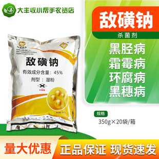 ������ �����c ˪ù����Ä���\�벡�h����������������������350g