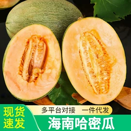 其他蔬菜;其他水果;桃子