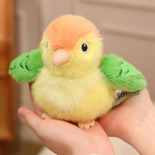 �ɐ�С�B�W�^���В��ë�q��߰��F֪���B����ϵ��ż�Y��[�����l