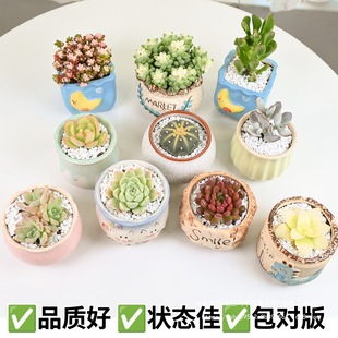 ֲM҃С¶ҵմɻϘ߶Gֲ