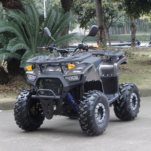 Factory Direct Sales Xiaotianlang Electric Motorcycle 48V Off-Road Vehicle Adult Beach Vehicle Four-Wheel All-Terrain Vehicle Atv
