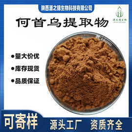 何首乌提取物10:1 水溶性何首乌粉 药食同源 食品级保健原料 现货