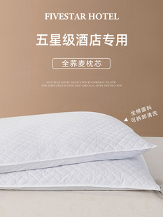 Five Hotel Pure Buckwheat Shell Pillows to Protect the Cervical Spine, Help Sleep and Prevent Snoring, a Pair of Single Summer Pillow Cores